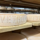 Les premières meules de fromage à raclette du Valais AOP frappées au talon de l'appellation "Vétroz"
